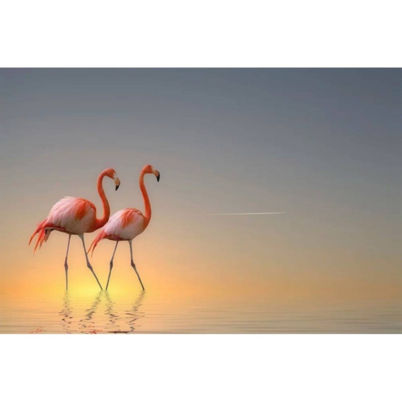 MARBURG | Flamingos in Love